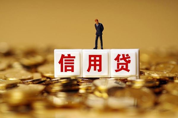 成都武侯哪里可以借私借-成都武侯个人贷款都有哪些平台-成都武侯小额贷款